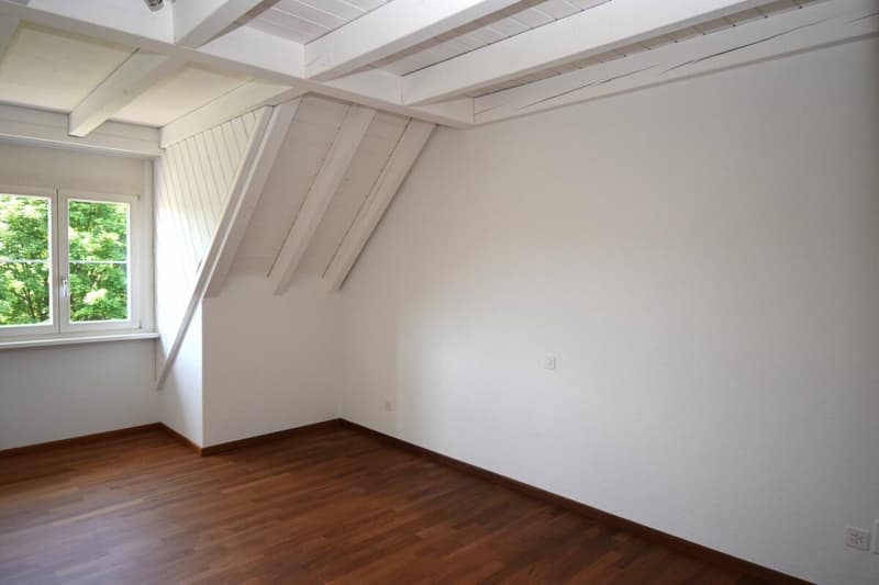 Nouvel appartement maisonnette de 4,5 pièces rénové au 2e étage avec ascenseur (norme de propriété) (10)