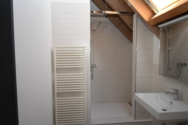 Nouvel appartement maisonnette de 4,5 pièces rénové au 2e étage avec ascenseur (norme de propriété) (7)