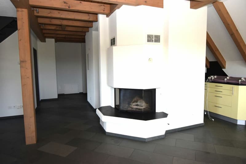 Nouvel appartement maisonnette de 4,5 pièces rénové au 2e étage avec ascenseur (norme de propriété) (3)