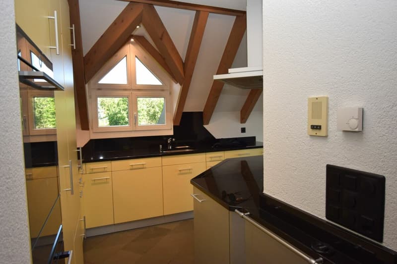 Nouvel appartement maisonnette de 4,5 pièces rénové au 2e étage avec ascenseur (norme de propriété) (2)