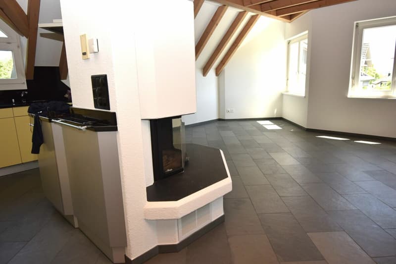 Nouvel appartement maisonnette de 4,5 pièces rénové au 2e étage avec ascenseur (norme de propriété) (4)