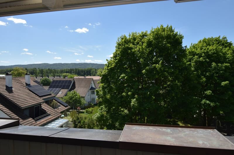 Nouvel appartement maisonnette de 4,5 pièces rénové au 2e étage avec ascenseur (norme de propriété) (12)