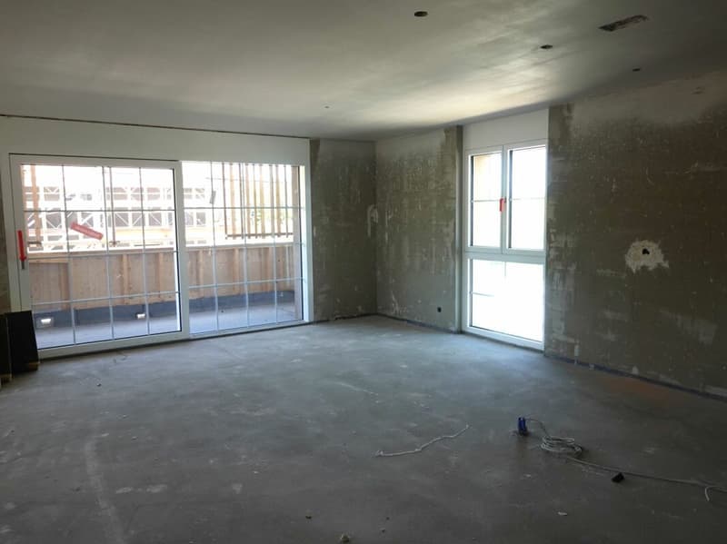 Primo affitto - appartamento moderno e spazioso di 3,5 locali in zona rurale (3)