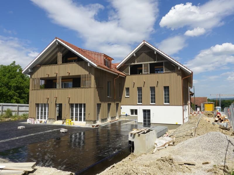 Primo affitto - appartamento moderno e spazioso di 3,5 locali in zona rurale (1)