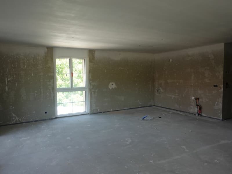 Primo affitto - appartamento moderno e spazioso di 3,5 locali in zona rurale (4)