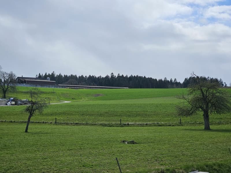 Neubau-Loftwohnung mit Aussicht, Ruhe und Komfort (10)