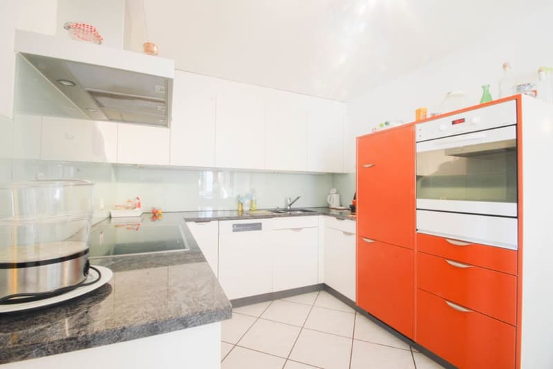 Investissement locatif / beaucoup d'espace de vie et un jardin privé (6)