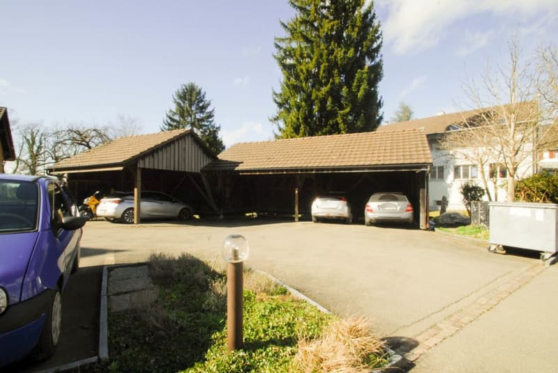 Investissement locatif / beaucoup d'espace de vie et un jardin privé (11)