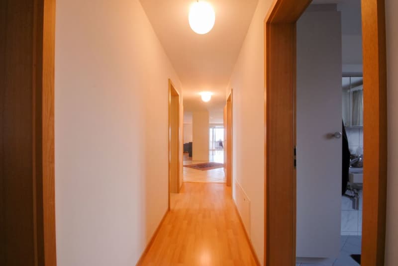 Investissement locatif / beaucoup d'espace de vie et un jardin privé (15)