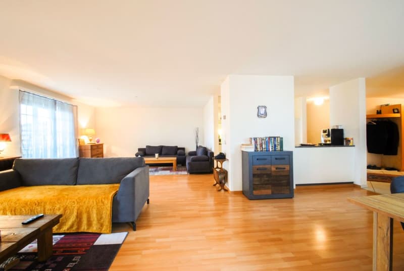 Investissement locatif / beaucoup d'espace de vie et un jardin privé (5)