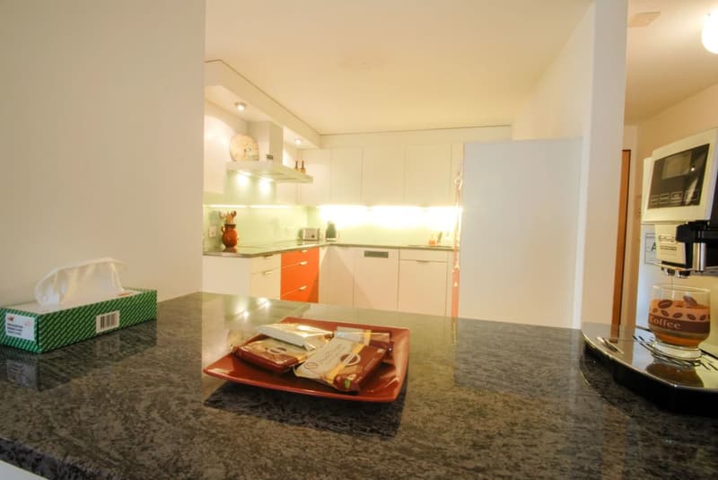 Investissement locatif / beaucoup d'espace de vie et un jardin privé (7)