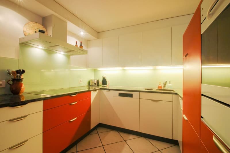 Investissement locatif / beaucoup d'espace de vie et un jardin privé (8)