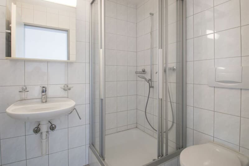 Well-maintained 4.5-room apartment in a quiet neighborhood (7)