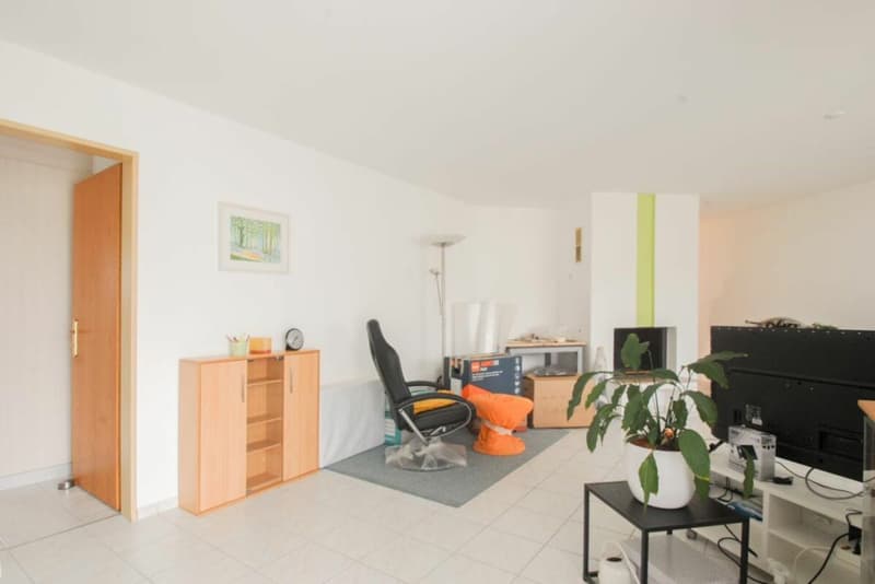 Appartamento con giardino in un edificio familiare (10)