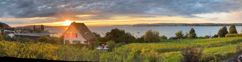 Panoramic view of a scenic countryside landscape at sunset. The image shows a house with a thatched roof surrounded by vineyards and trees, with a lake or body of water in the background. The sky is filled with dramatic clouds and vibrant colors from the
