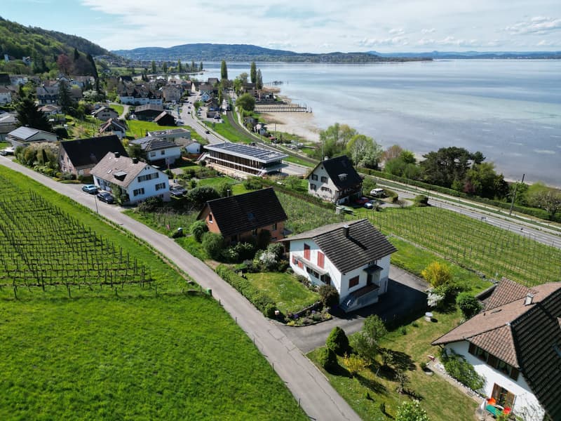 Aerial view of a picturesque lakeside town surrounded by mountains, with houses, vineyards, and a body of water in the background.
