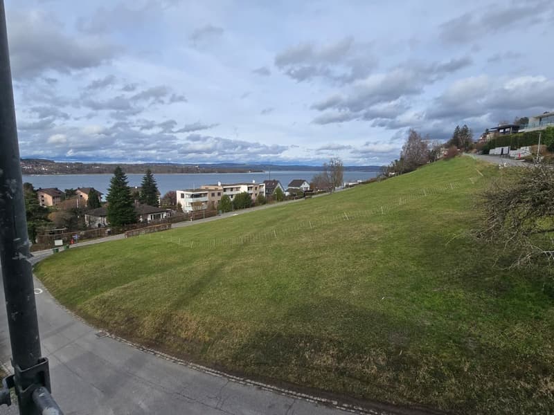 grassy hill overlooking a lake, road at the bottom, several buildings in the distance, cloudy sky