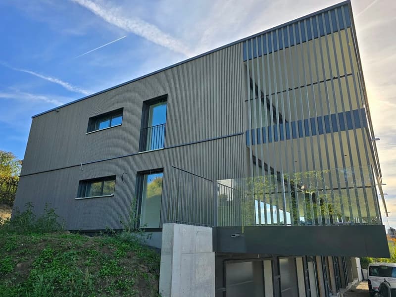 VERKAUFT, Exklusive & hochwertige Attikawohnung mit Seesicht (2)