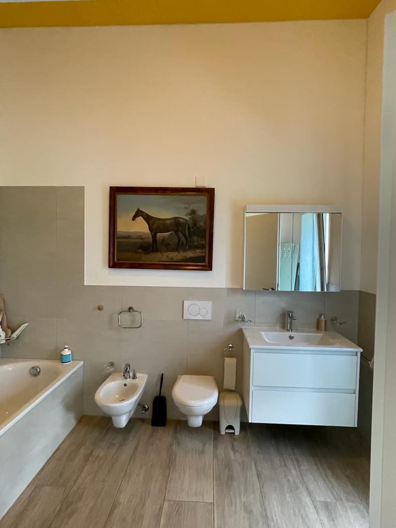 Einfamilienhaus (21)