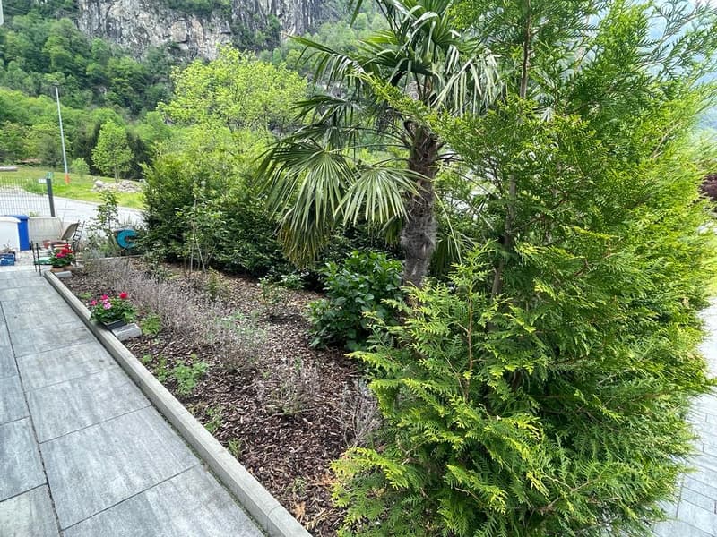 Einfamilienhaus (13)