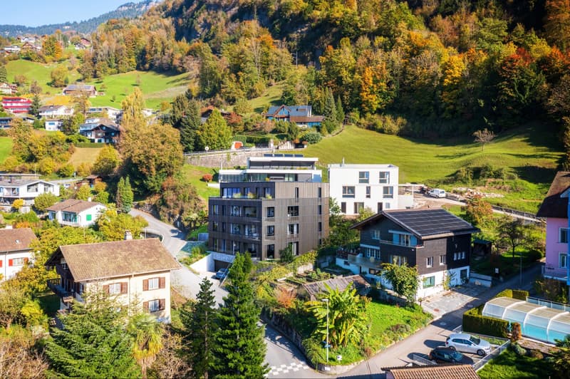 5.5-Zimmer-Wohnung mit Loggia und Seesicht in Vitznau kaufen (2)