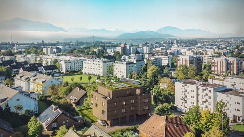 BLICKFANG Steinhausen - Letzte 3.5-Zimmerwohnung - schnell sein, lohnt sich! (4)