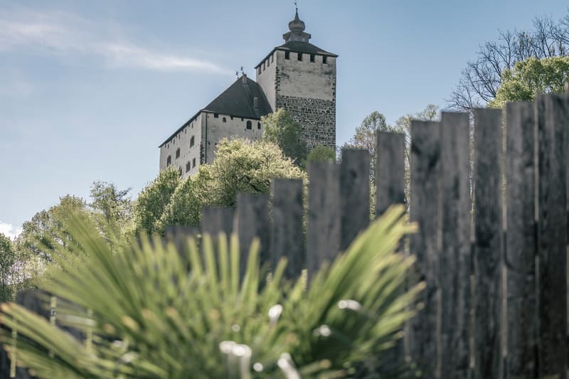 A historic stone castle with a tall tower and a tiled roof, surrounded by trees and greenery. The castle appears to be situated on a hill or elevated ground, with a wooden fence or barrier in the foreground.
