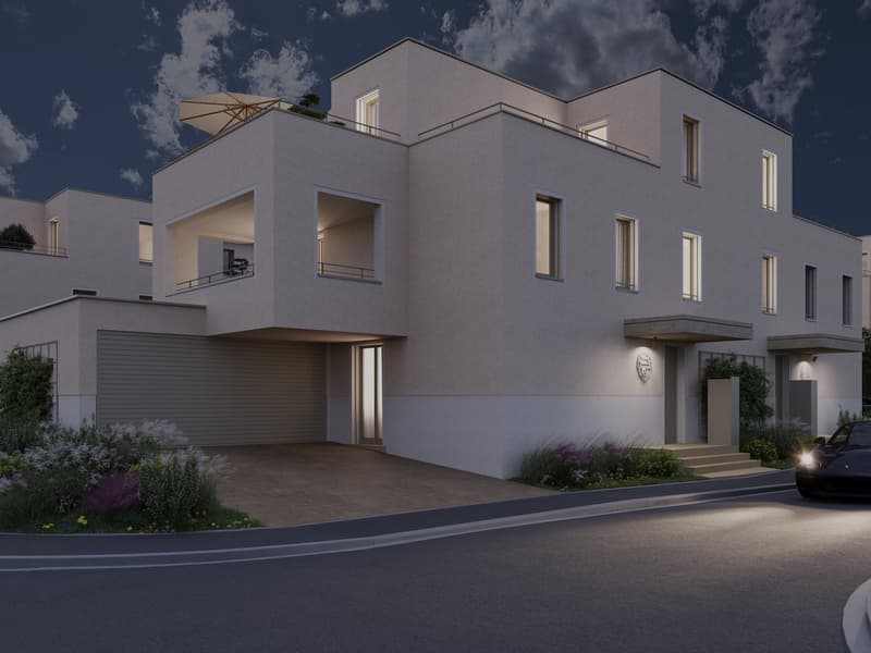 5.5 Zimmer Doppeleinfamilienhaus Löwenstrasse Flums (1)