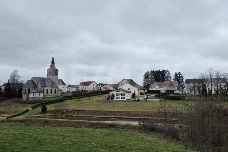 Farm, organic farm, 130 km from Basel, perfect quality of life, F-88370 Bellefontaine (12)
