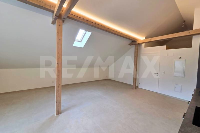 Loft - Appartamento in mansarda in posizione centrale ad Altdorf UR, prima locazione (2)