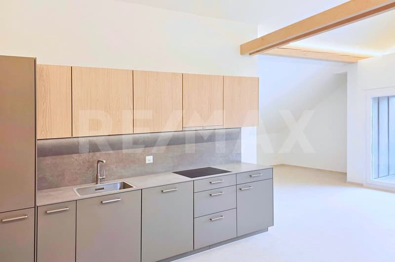 Loft - Appartamento in mansarda in posizione centrale ad Altdorf UR, prima locazione (1)