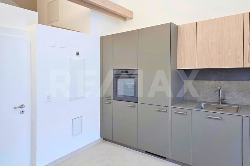 Loft - Appartamento in mansarda in posizione centrale ad Altdorf UR, prima locazione (5)