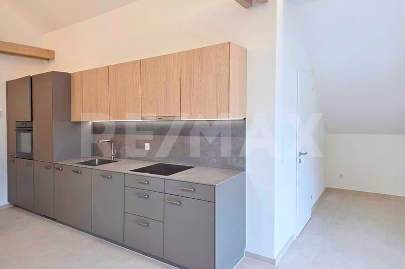 Loft - Appartamento in mansarda in posizione centrale ad Altdorf UR, prima locazione (7)