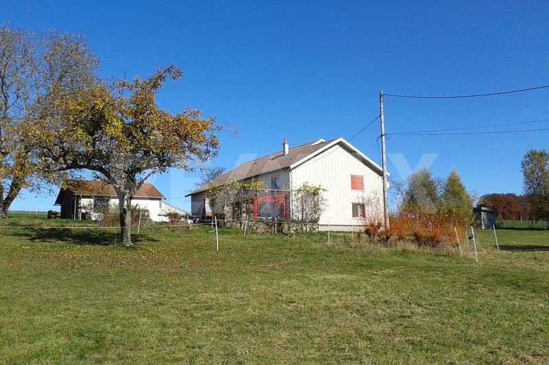 Farm, Organic Farm, 130 km from Basel, Quality of Life in Perfection, F-88370 Bellefontaine (11)