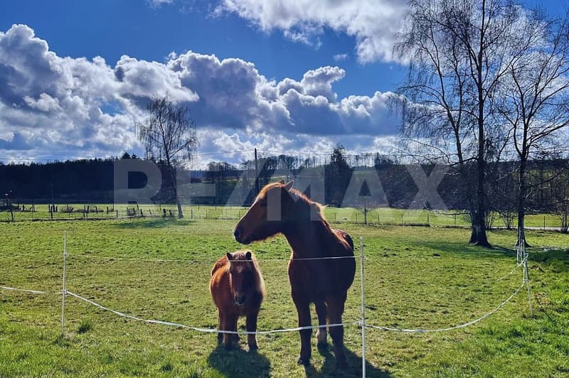 Farm, Organic Farm, 130 km from Basel, Quality of Life in Perfection, F-88370 Bellefontaine (12)