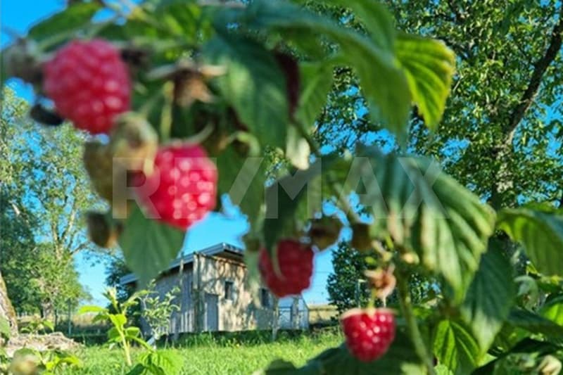 Farm, Organic Farm, 130 km from Basel, Quality of Life in Perfection, F-88370 Bellefontaine (4)