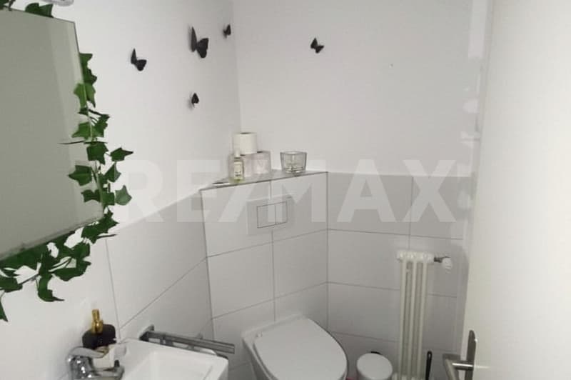 Large, bright 5.5-room apartment in a good location, Altdorf UR (10)