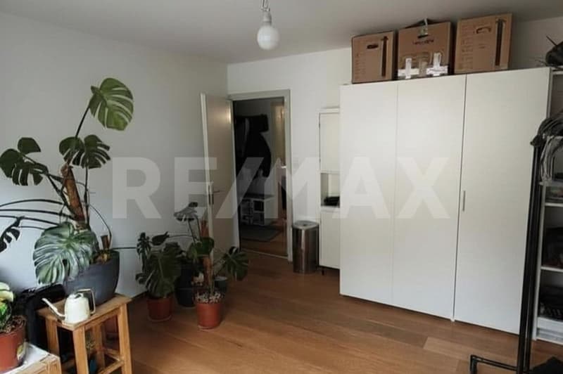 Large, bright 5.5-room apartment in a good location, Altdorf UR (7)