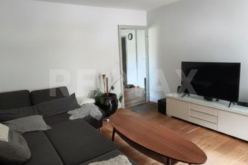 Large, bright 5.5-room apartment in a good location, Altdorf UR (5)