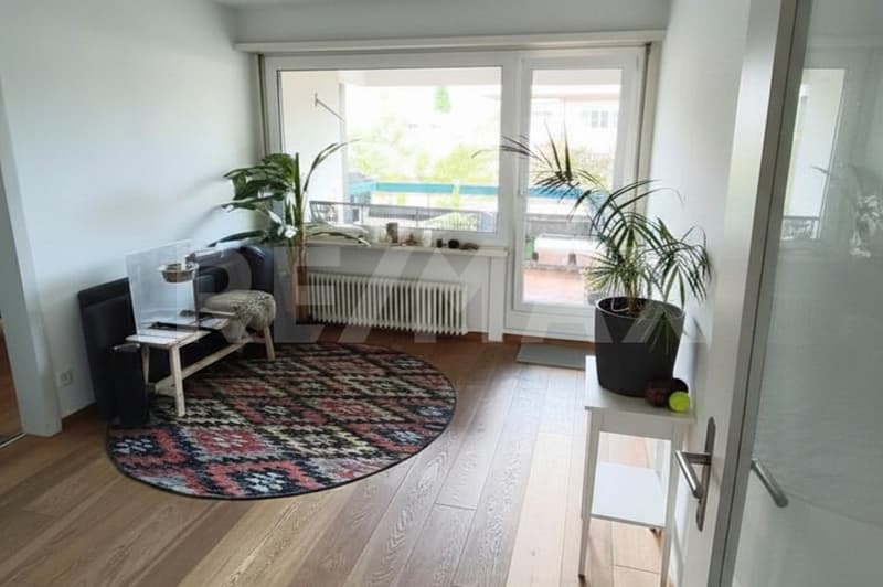 Large, bright 5.5-room apartment in a good location, Altdorf UR (1)