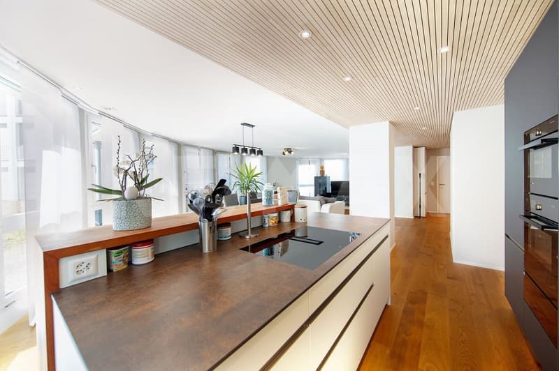 Einzigartige, lichtdurchflutete 3.5-Zi.-Wohnung mit Terrasse und Bergpanorama, 6440 Brunnen SZ (3)