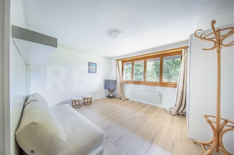 Maison de vacances de 3,5 pièces avec studio de 1,5 pièce séparé à Odogno TI (3)