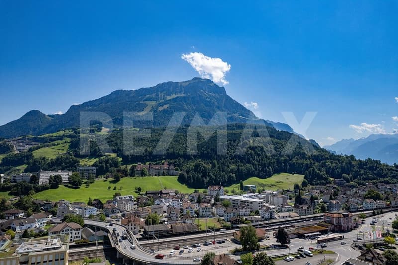NEUBAU, letzte 4.5-Zi.-Wohnung, 001 EG, individuelle Innenraumgestaltung, Brunnen SZ (4)