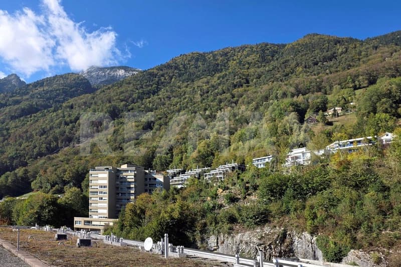 Neubau-TOP-3.5-Zi.-Attika-Wohnung, zur Miete, direkt am See, in 6440 Brunnen SZ (5)