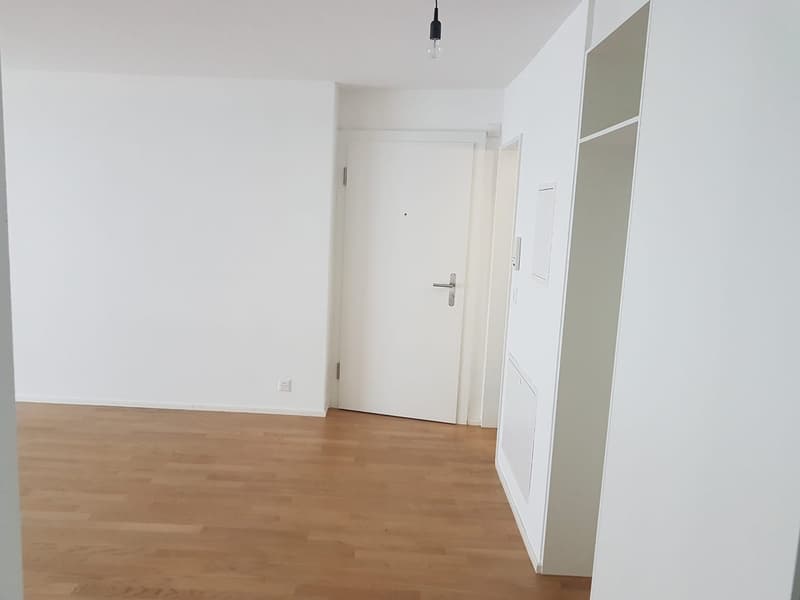 Beautiful apartment in Affoltern am Albis (6)