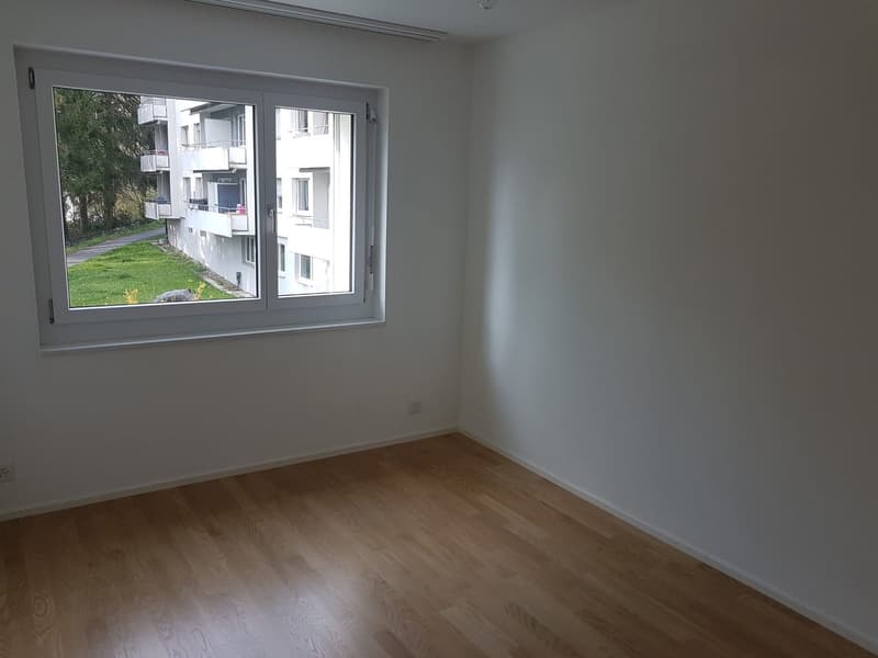 Beautiful apartment in Affoltern am Albis (10)