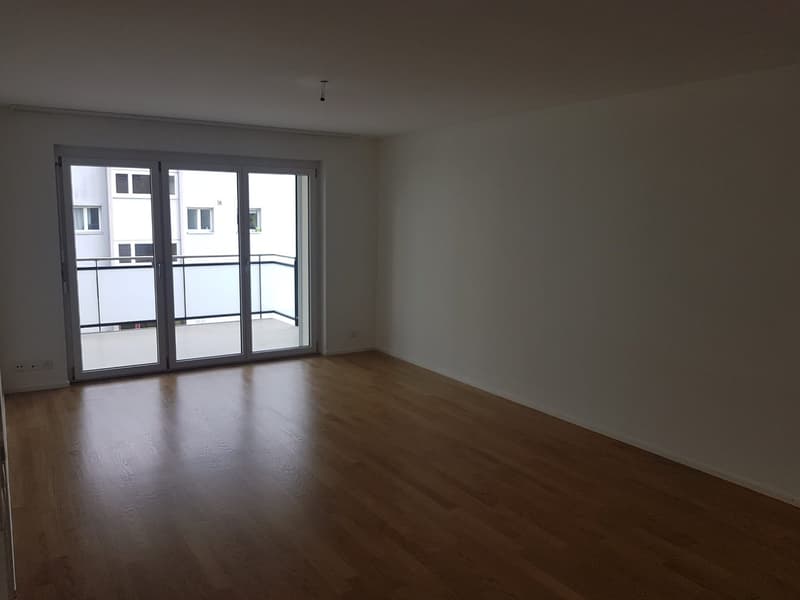 Beautiful apartment in Affoltern am Albis (7)