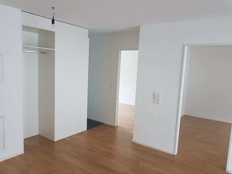 Beautiful apartment in Affoltern am Albis (13)