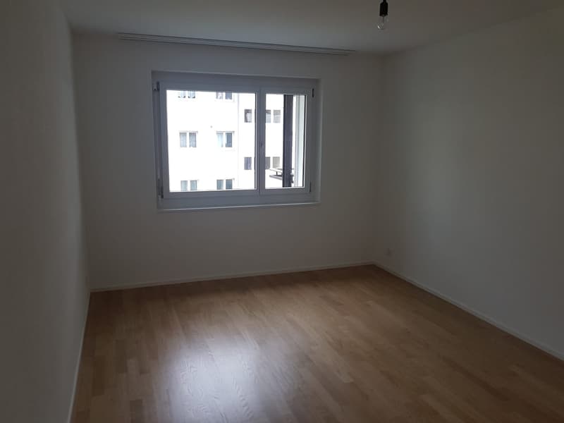 Beautiful apartment in Affoltern am Albis (11)