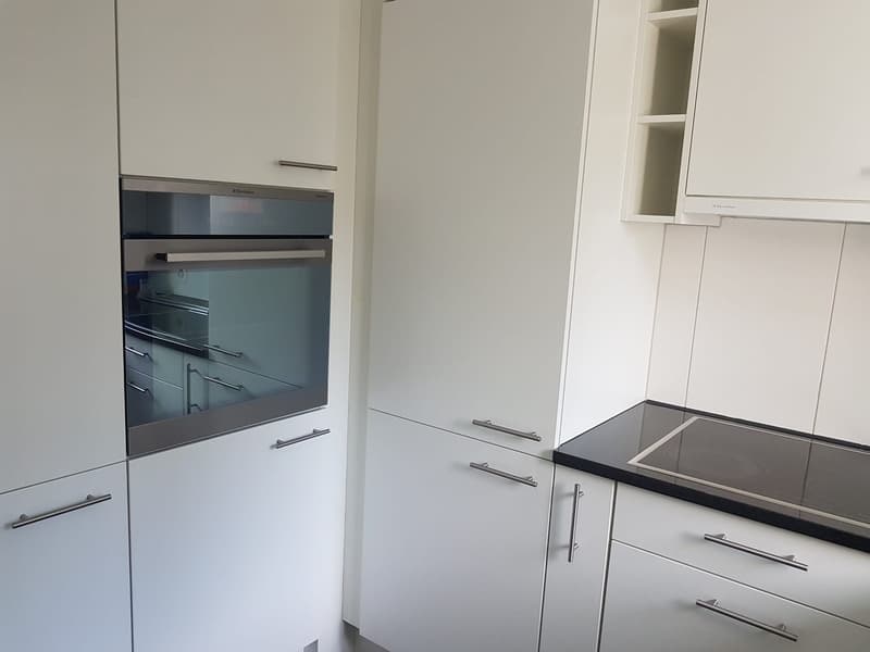 Beautiful apartment in Affoltern am Albis (3)